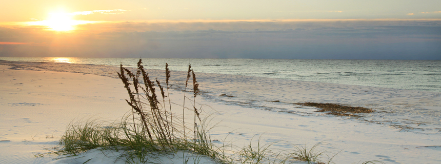 Beach Sunset