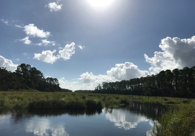 Find Your Center at Bulow Creek State Park