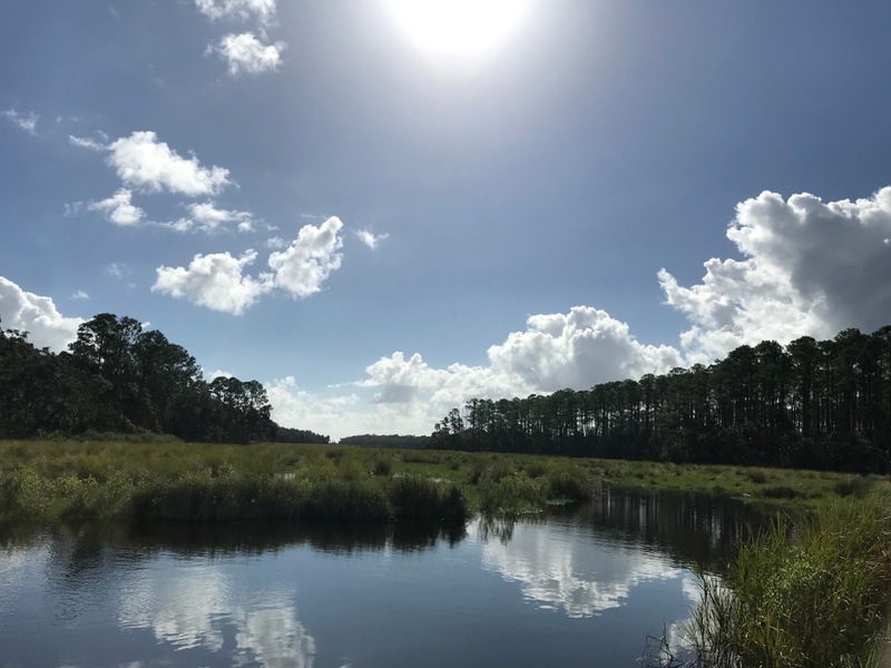 Find Your Center at Bulow Creek State Park