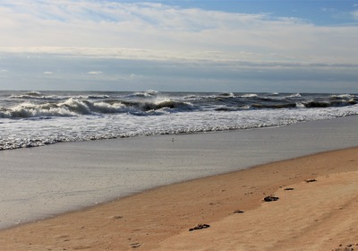 By-the-Sea Amusement Awaits in the Ormond Beach Area