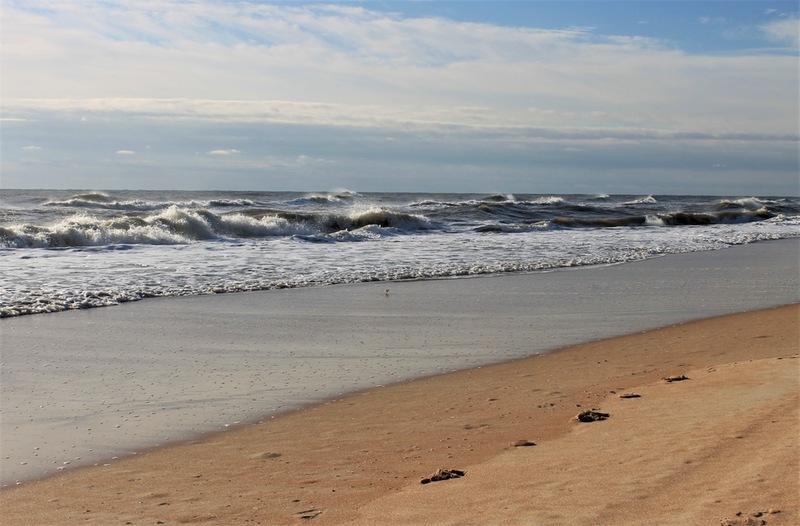 By-the-Sea Amusement Awaits in the Ormond Beach Area