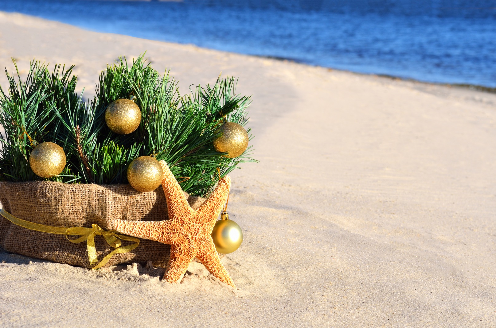 City Of Daytona Beach Christmas Parade 2022 Perks Of A Sunny Holiday Season In Homes In Daytona Beach