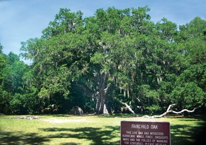 Fairchild Oak, Nature Trails across Old Dixie Highway