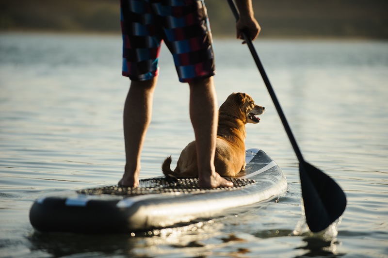 Water Fun Abounds in Ormond Beach this Summer