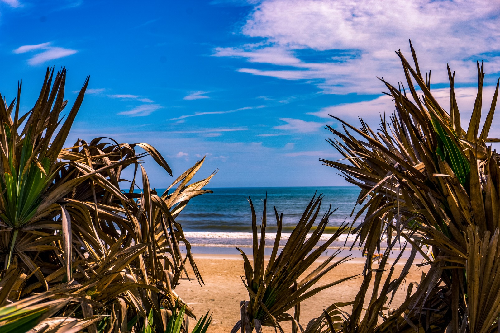 Fun Things to Do in and Near Ormond Beach - Halifax Plantation